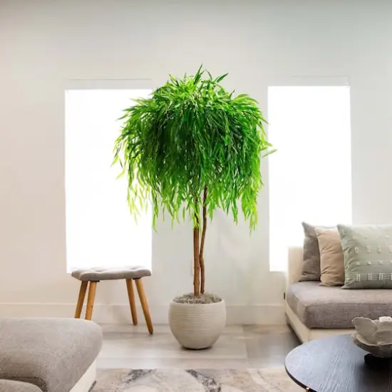 8ft. Real Touch Potted Willow Tree {3}