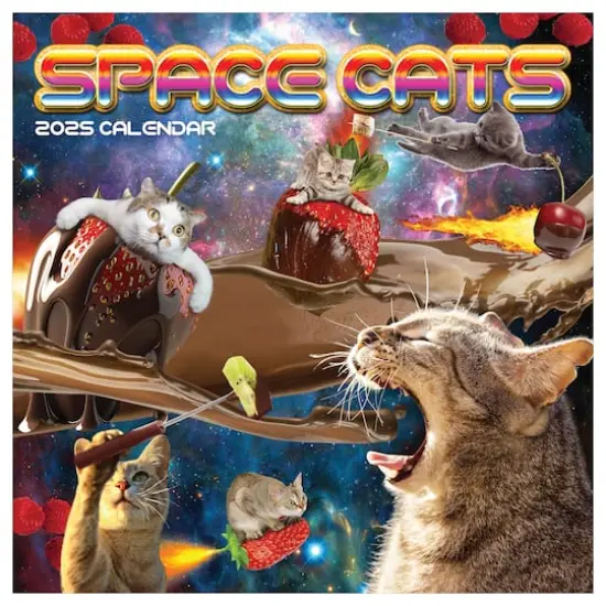 TF Publishing 2025 Space Cats Wall Calendar {1}