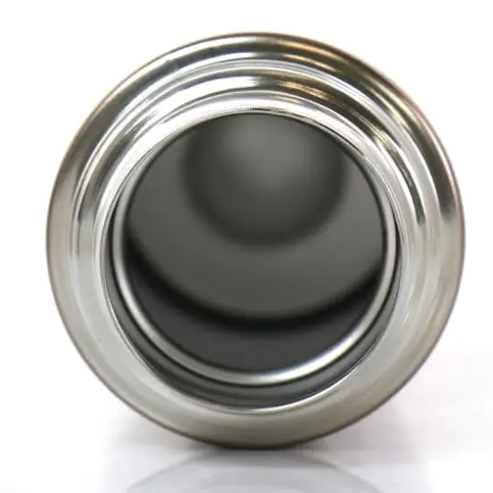 Gibson Home 16oz. Cassidy Leaf Thermal Bottle {5}