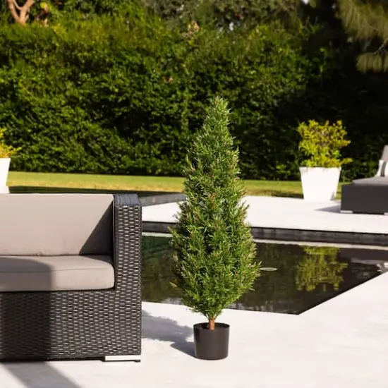 4ft. Potted UV Resistant Rosemary Cone Topiary Tree {3}