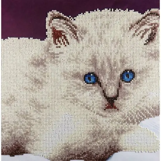 Diamond Art Intermediate White Cat Kit {1}