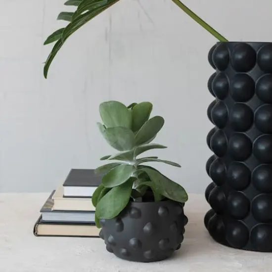 Hello Honey&reg; 6.5" Black Terracotta Planter with Raised Dot Design {4}