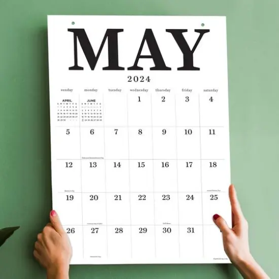 TF Publishing 2024 Medium Art Poster Wall Calendar {6}