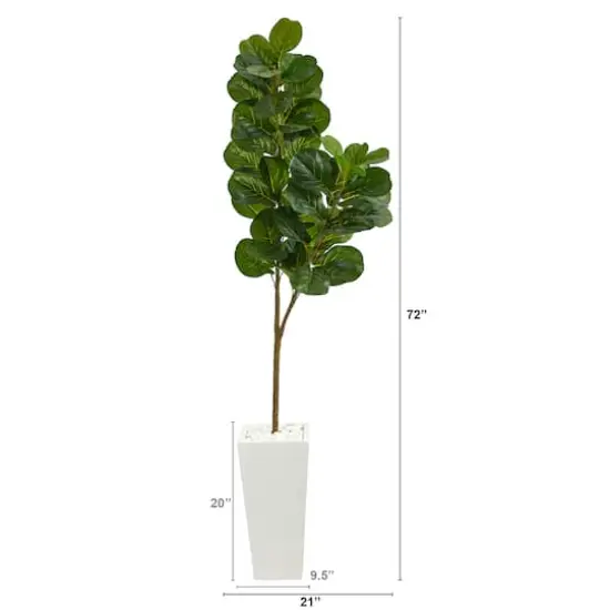 6ft. Fiddle Leaf Fig Tree in Tall White Planter {3}