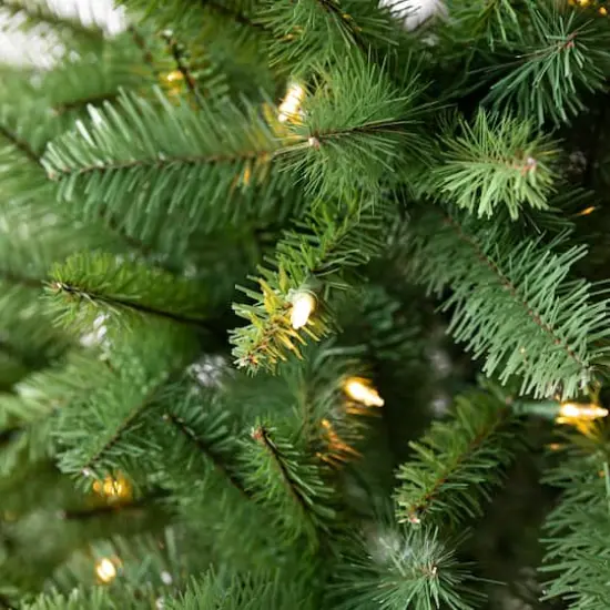 6ft. Pre-Lit Windham Spruce Artificial Christmas Tree, Warm White LED Lights by Ashland&reg; {3}