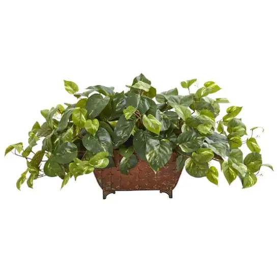 15" Pothos Plant in Metal Planter {1}