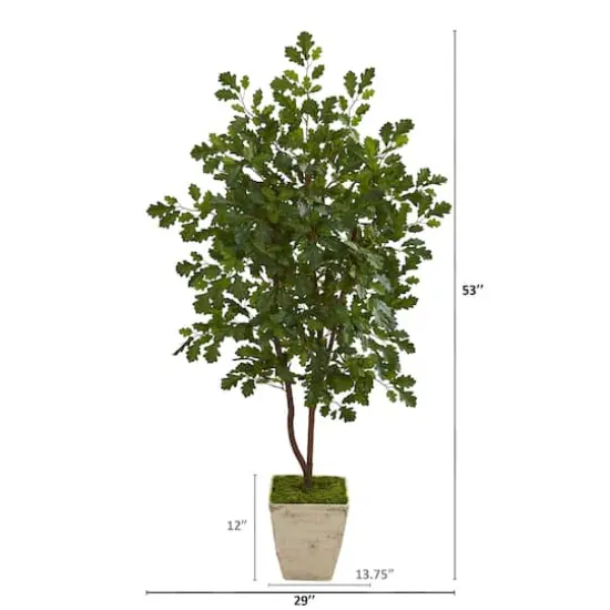 4ft. Oak Tree in Country White Planter {3}