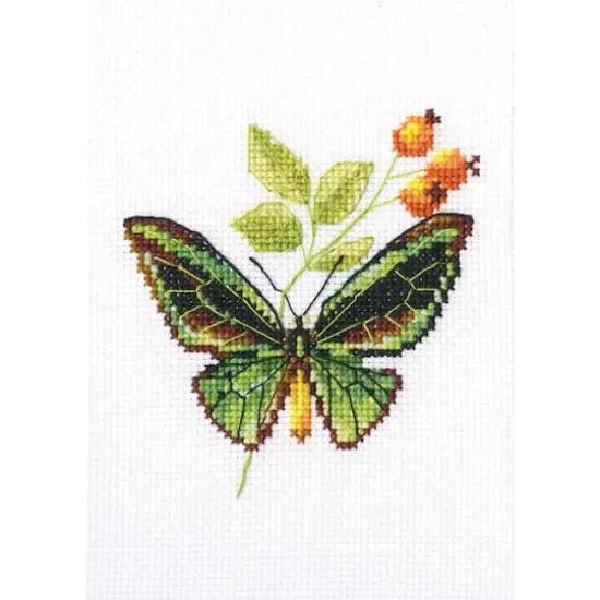 RTO Briar & Butterfly Counted Cross Stitch Kit {1}