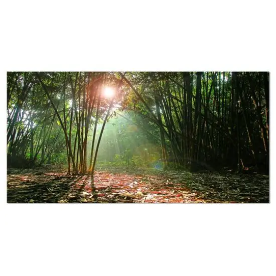 Designart - Amazing Green Forest at Sunset - Landscape Canvas Art Print {1}