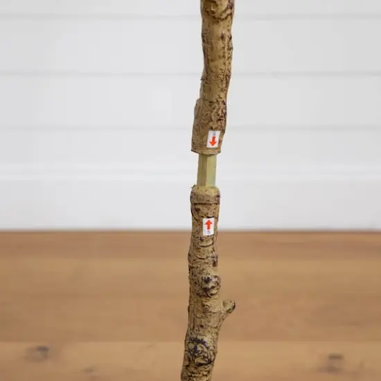 4ft. Artificial Audrey Ficus Tree {6}