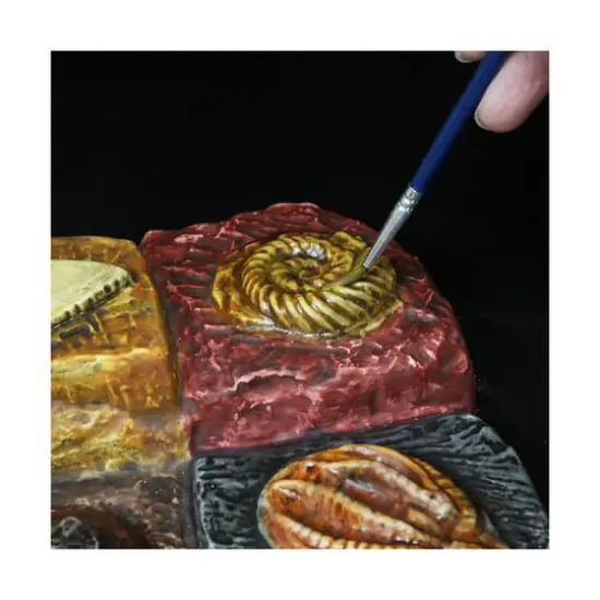 Wild Environmental Science - Wonders of the Earth {11}