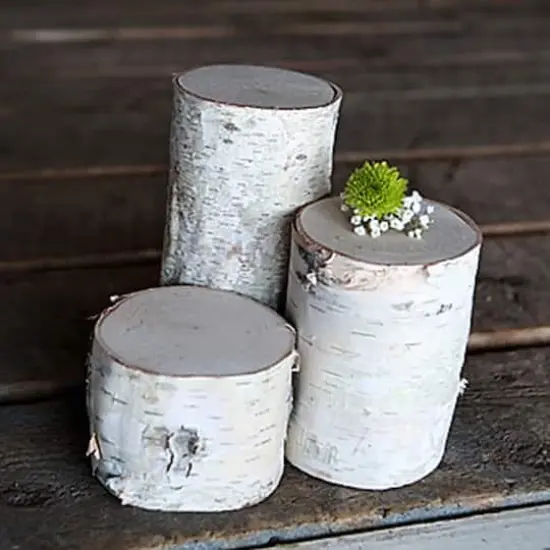 Wilson&reg; Enterprises Birch Pillar Set {2}