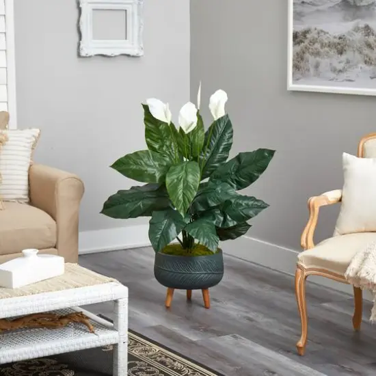4ft. Peace Lily Plant in Black Planter with Stand {5}