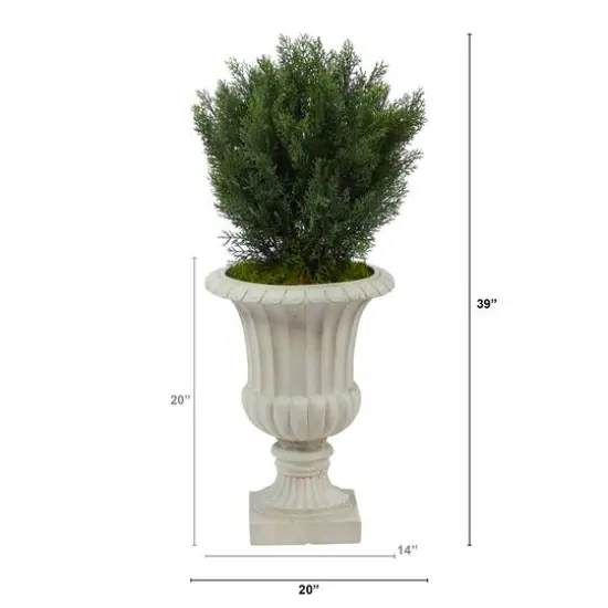 3ft. Cedar Tree in Sand Finished Urn {3}