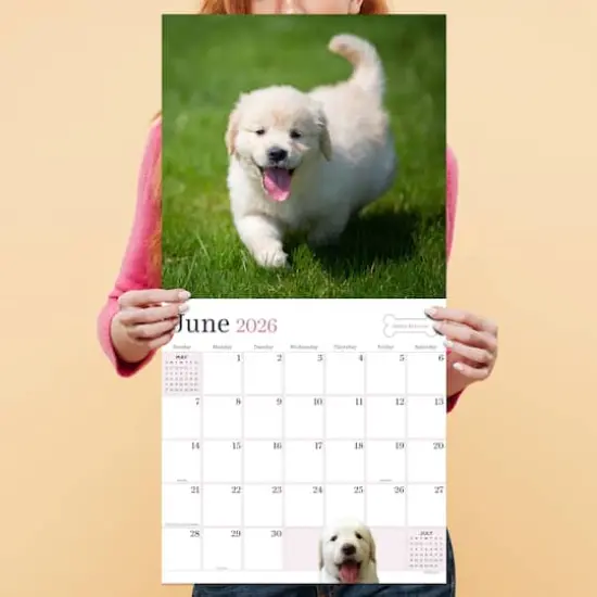 2026 Puppies Wall Calendar {5}