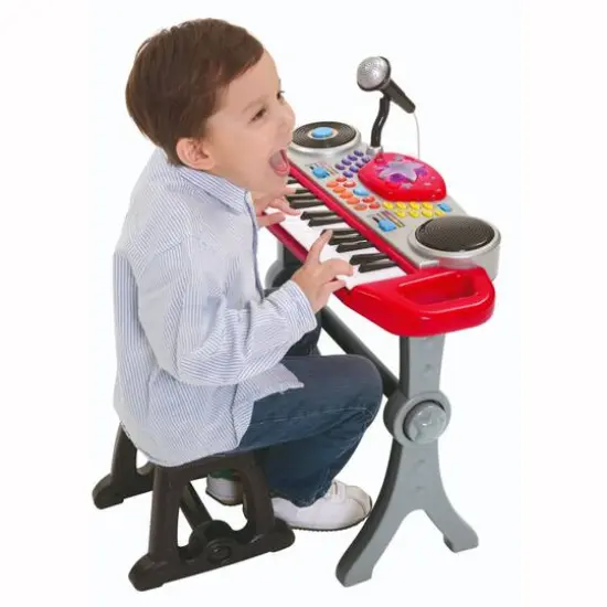 Enviro-Mental Toy Ripping Rocking Rolling Keys {6}