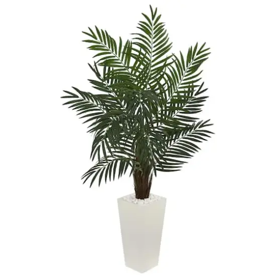 5.5ft. Areca Palm Tree in White Tower Planter {1}