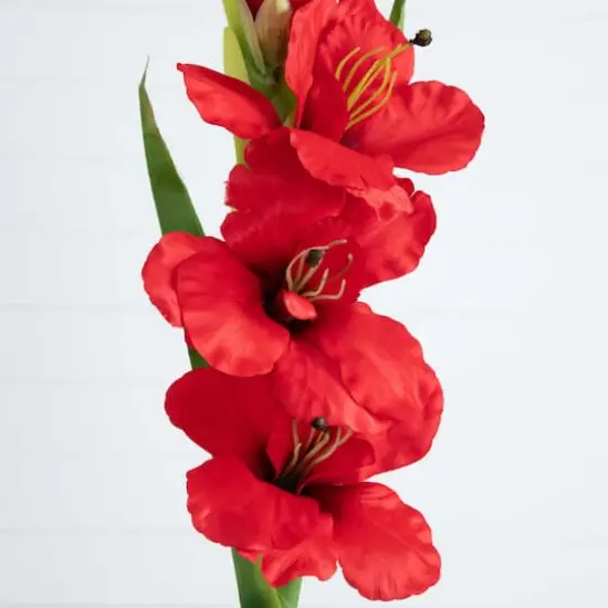 45" Red Gladiolus Flower Stems, 3ct. {4}