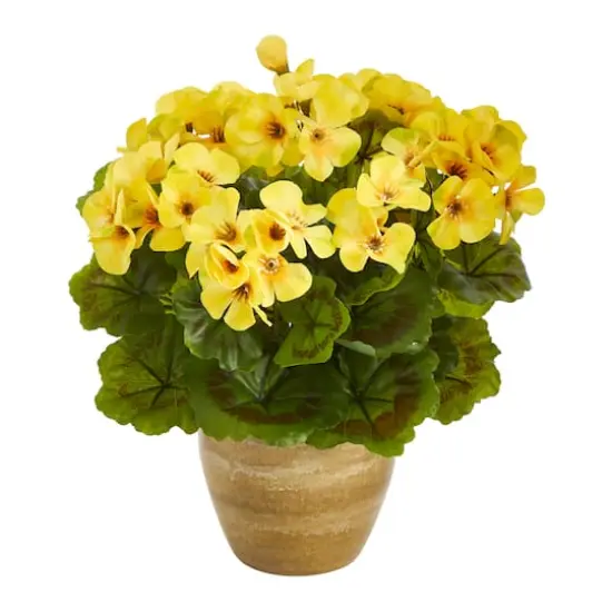 11" Yellow Geranium in Ceramic Planter {1}
