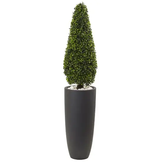 4ft. Boxwood Topiary with Gray Cylindrical Planter {1}