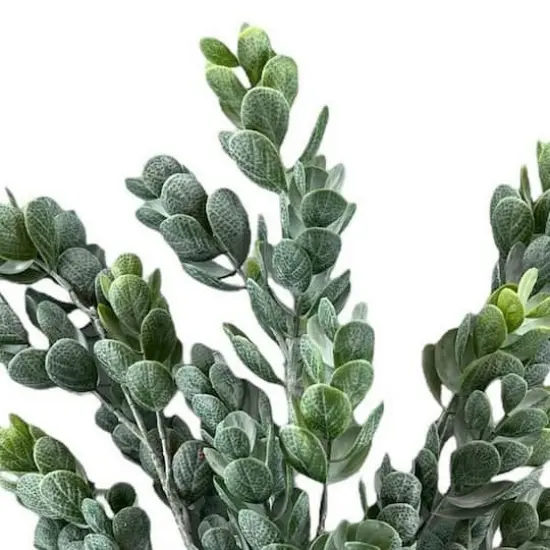 Flocked Cheesewood Bush by Ashland&reg; {3}