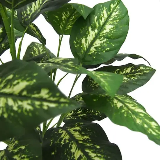 3ft. Green & White Diffenbachia Plant {3}