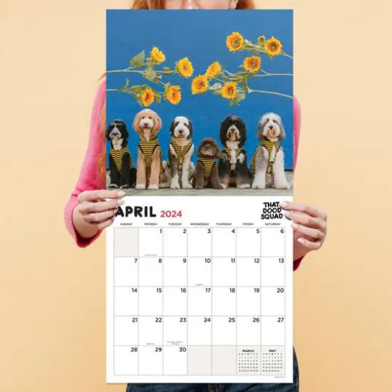 TF Publishing 2024 Doodles, Starring: That Dood Squad Wall Calendar {6}