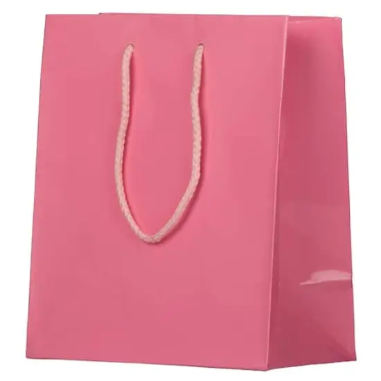 JAM Paper Medium Glossy Gift Bags, 6ct. Pink {5}