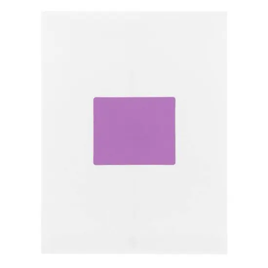 JAM Paper Adhesive Shipping Labels, 3.33" x 4" Violet {7}