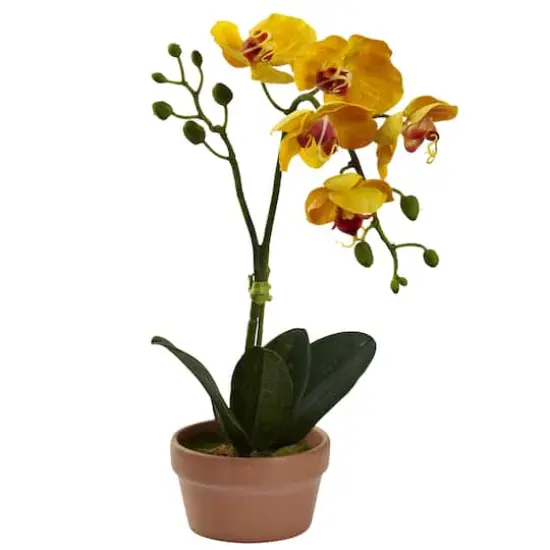 13" Orchid with Clay Vase, 4ct. {3}