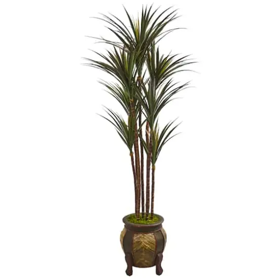 5ft. Giant Yucca Tree in Decorative Planter {1}