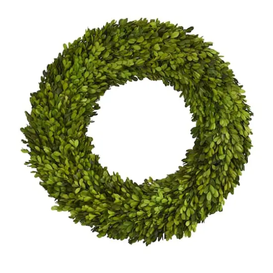 24" Green Preserved Boxwood Wreath {1}