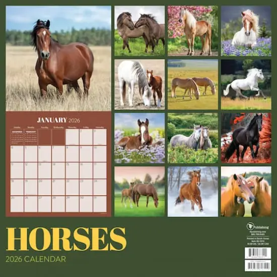 2026 Horses Wall Calendar {6}