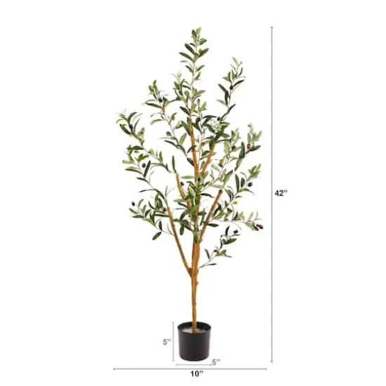 3.5ft. Potted Sparse Olive Tree {3}