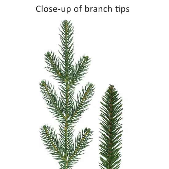 6.5ft. Pre-Lit Hillside Spruce Artificial Tree, Clear LED Lights {7}