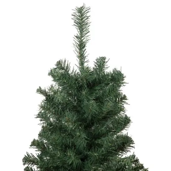2ft. Unlit Blackwater Fir Artificial Christmas Tree {5}