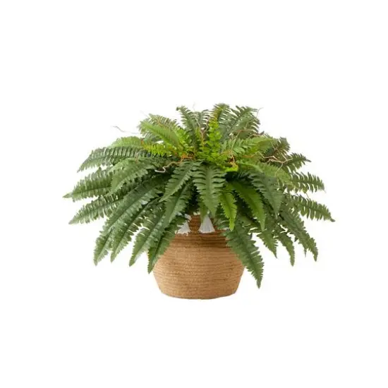 23" Artificial Boston Fern Plant in Handmade Jute & Cotton Basket with Tassels {1}