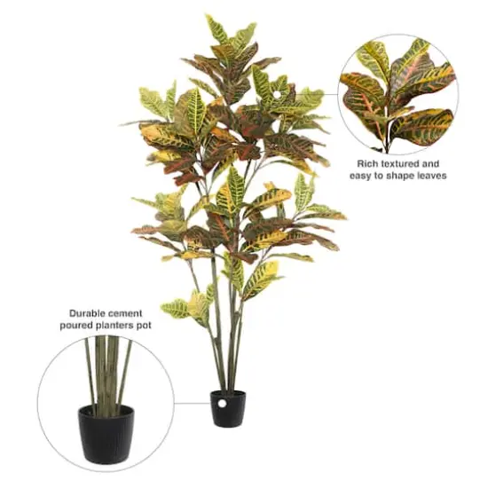 5ft. Potted Green & Orange Croton Tree {8}