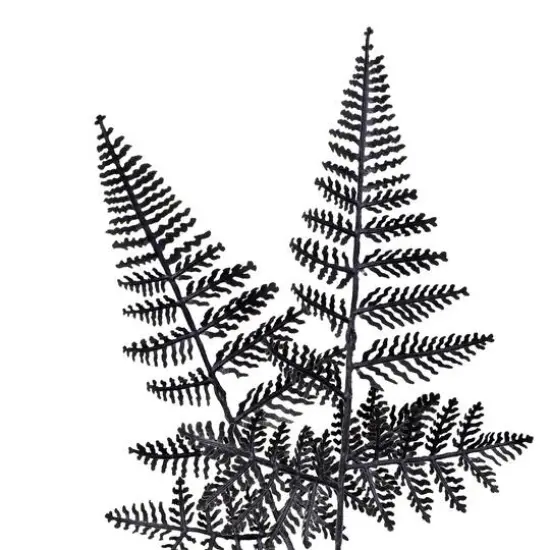 16" Black Fern by Ashland&reg; {4}