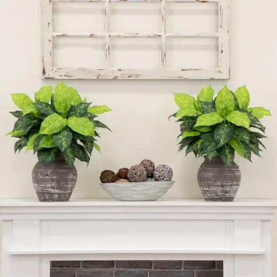 19" Artificial Dieffenbachia Plants, 6ct. {3}