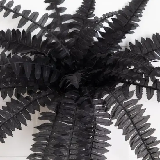 19in. Artificial Halloween Black Boston Fern - Set of 6 {5}