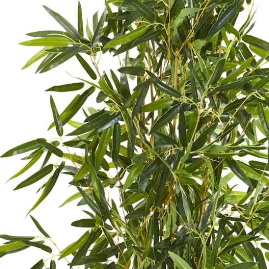 4ft. Potted Bamboo Tree {3}