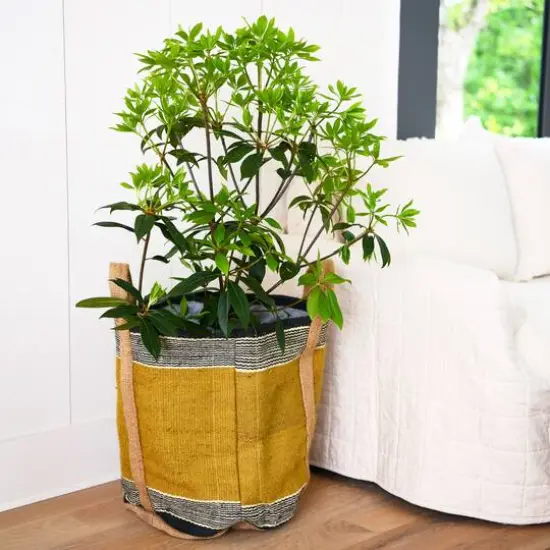 Hello Honey&reg; 24" Mustard Striped Woven Jute Tote with Liner {3}