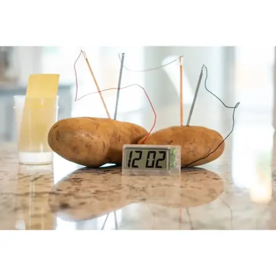 Toysmith&reg; Potato Clock Kit {4}