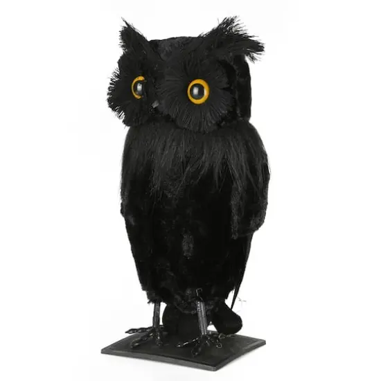 11'' Eerie Eyes Owl Halloween D&eacute;cor {5}