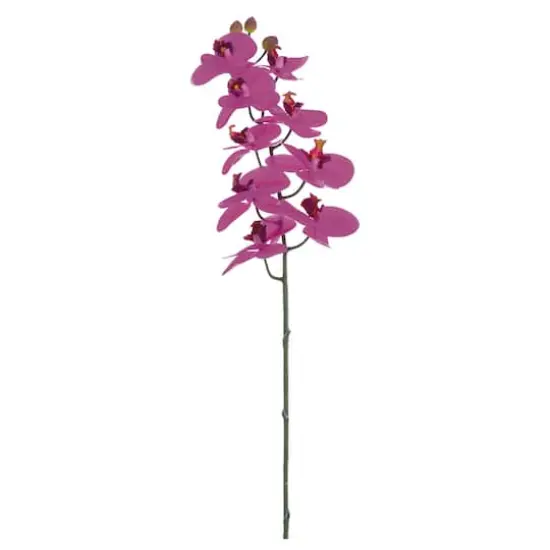 Fuchsia Phalaenopsis Orchid Spray {1}