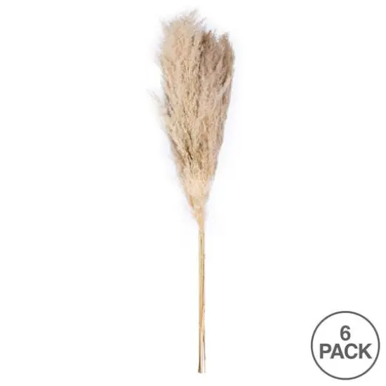 Dried Natural Pampas Grass, 6ct. {8}