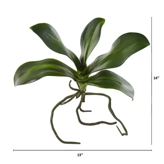 7" Phalaenopsis Orchid Leaf Artificial Flower (Set of 6) {3}
