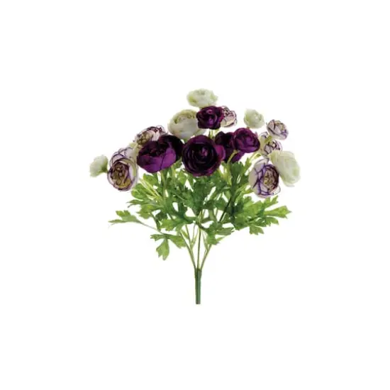 Ivory & Violet Mini Ranunculus Bush  {1}