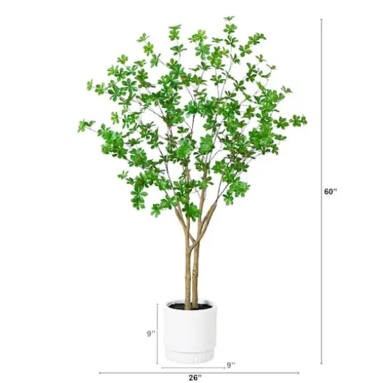 5ft. Enkianthus Tree in White Decorative Planter {6}